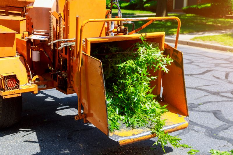 Commercial Tree Service