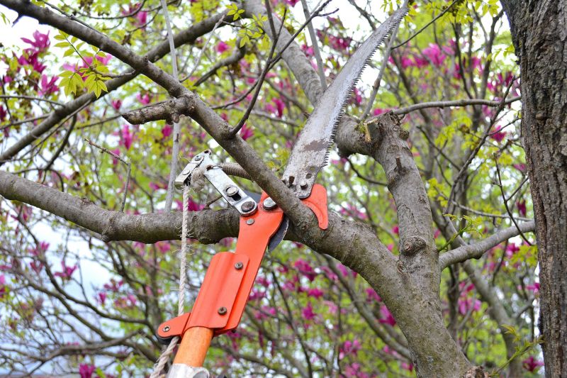 Orchard Tree Pruning